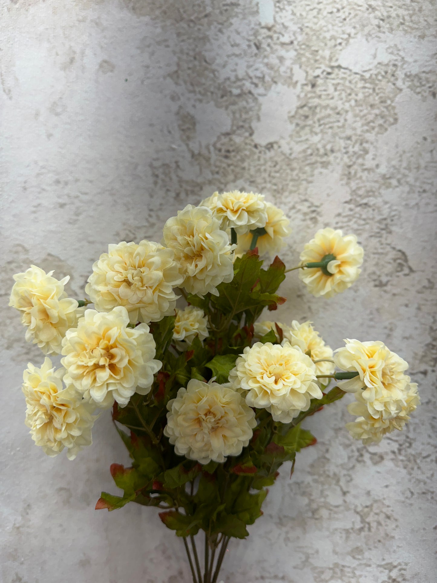 MARIGOLD BUSH 84402-BEIGE