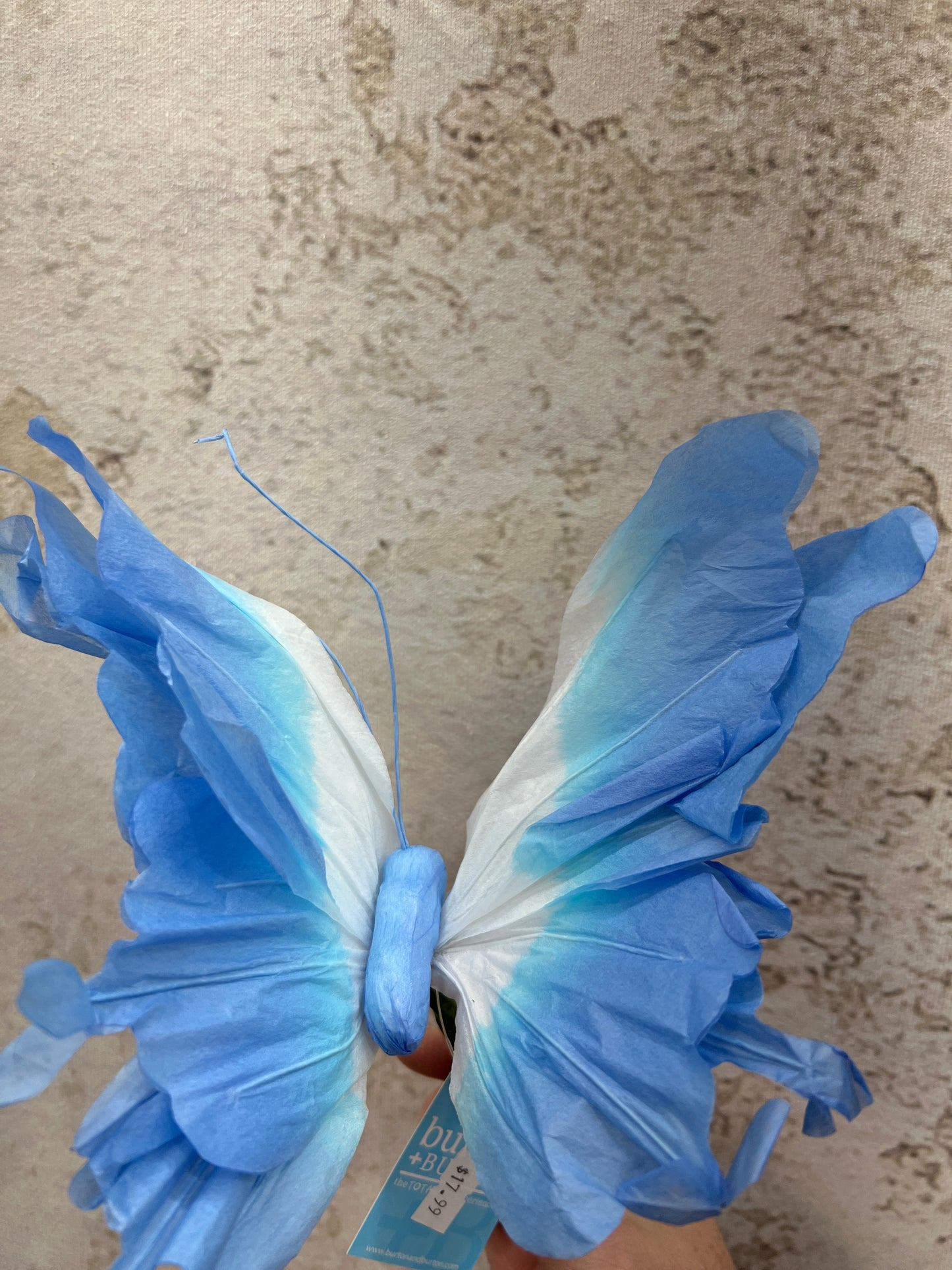 Pick paper butterfly 9749831