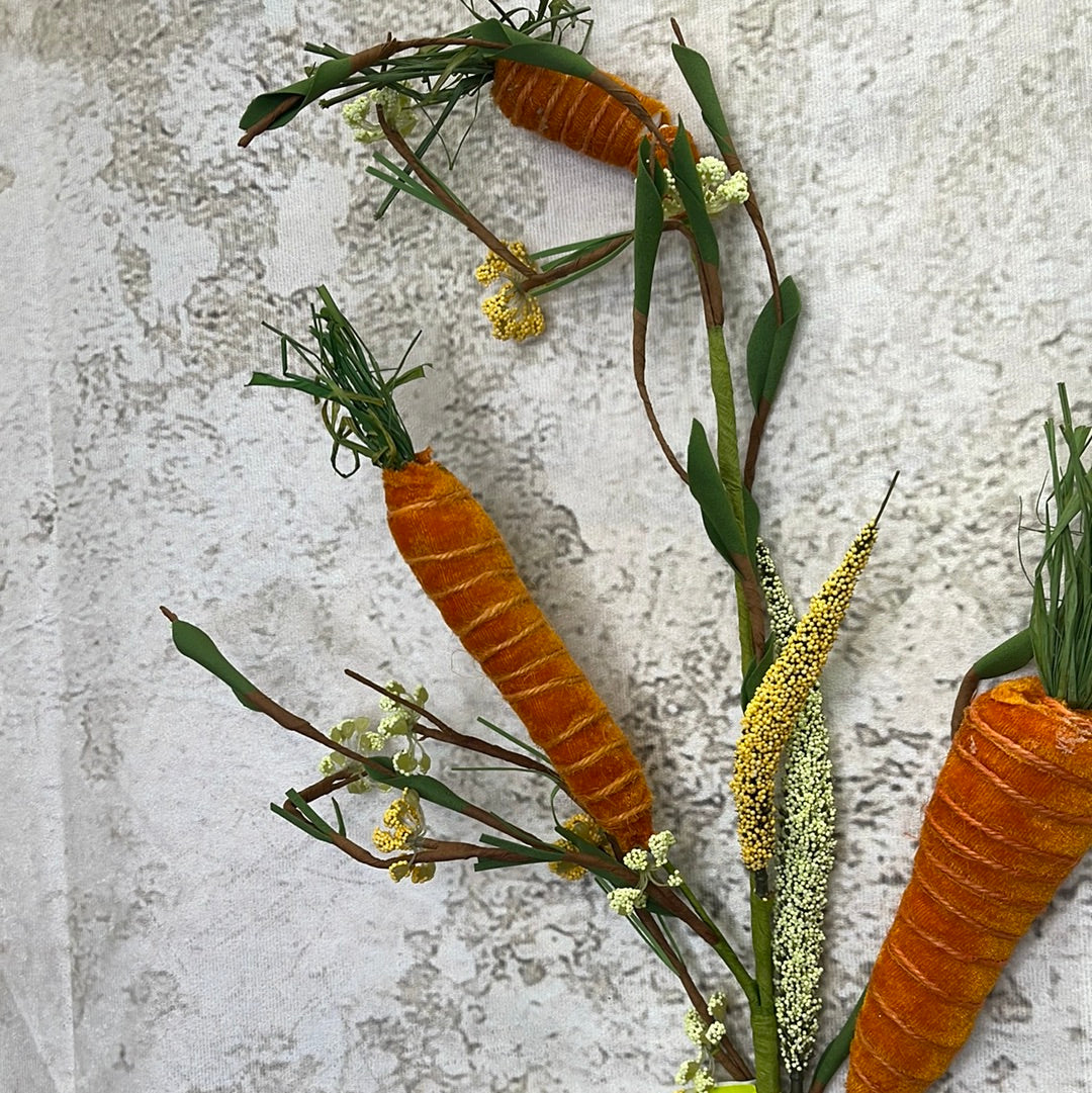 Carrot Lvs Spray 62883OR