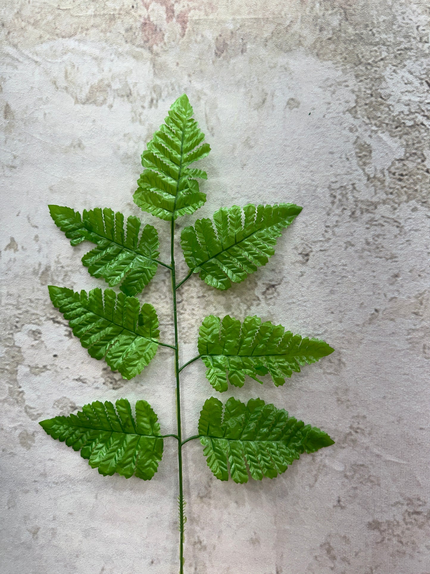 LEATHER FERN BSH LT.GRN 67004