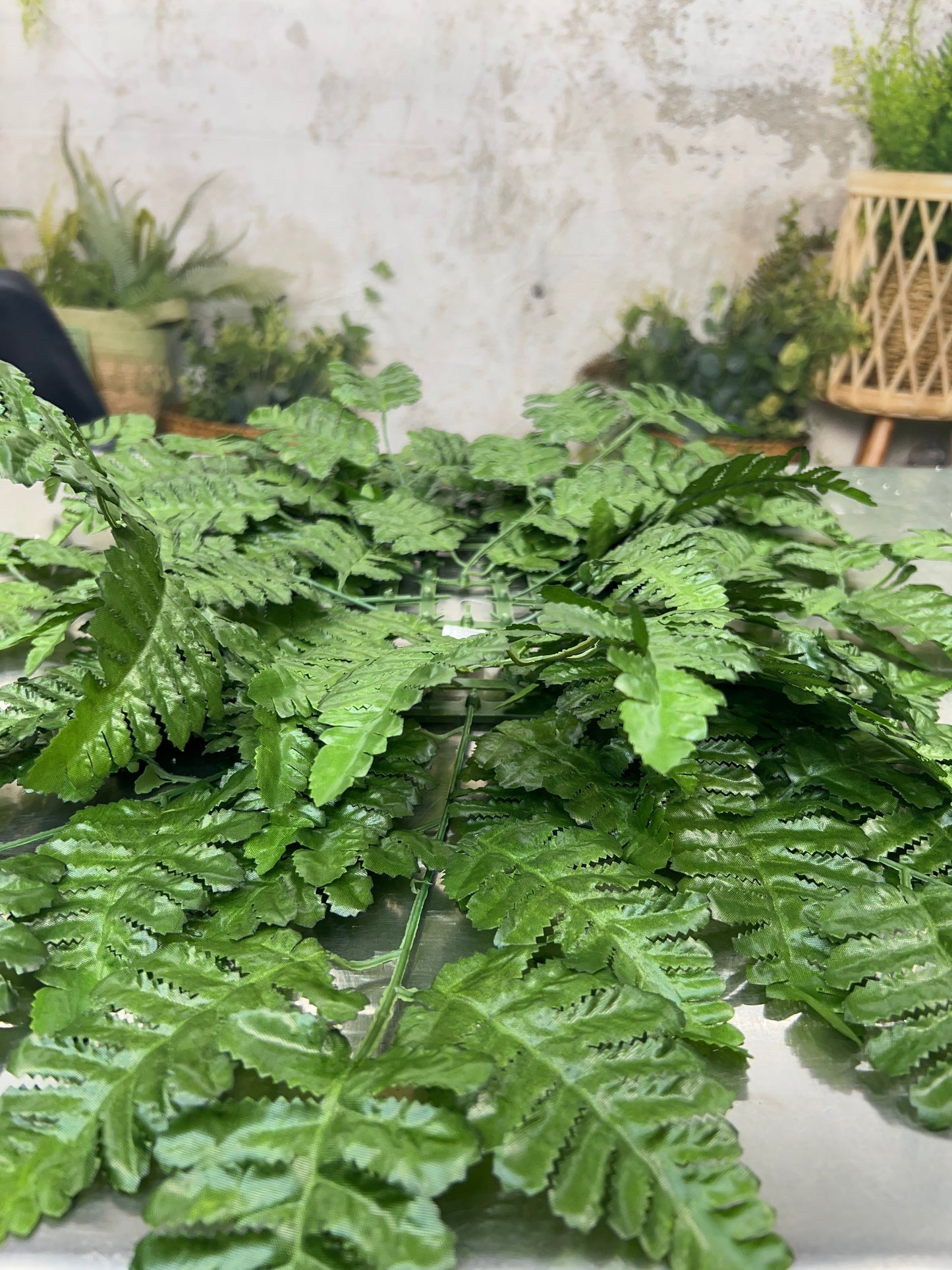 LEATHER FERN BASE 29501