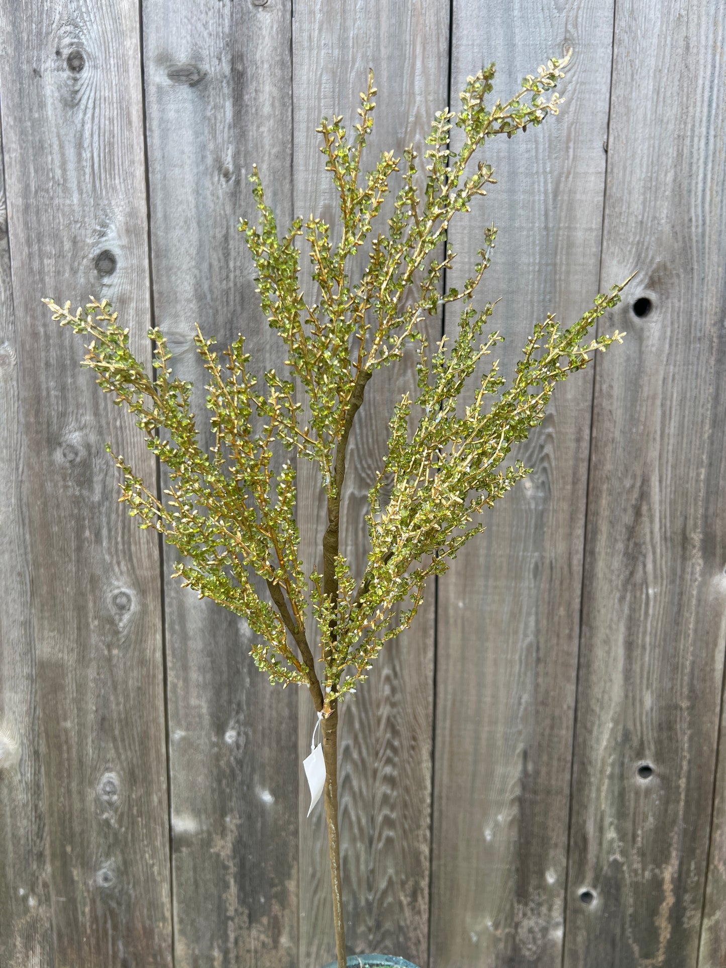 ICED TWIG SPRAY 32146-GNGD