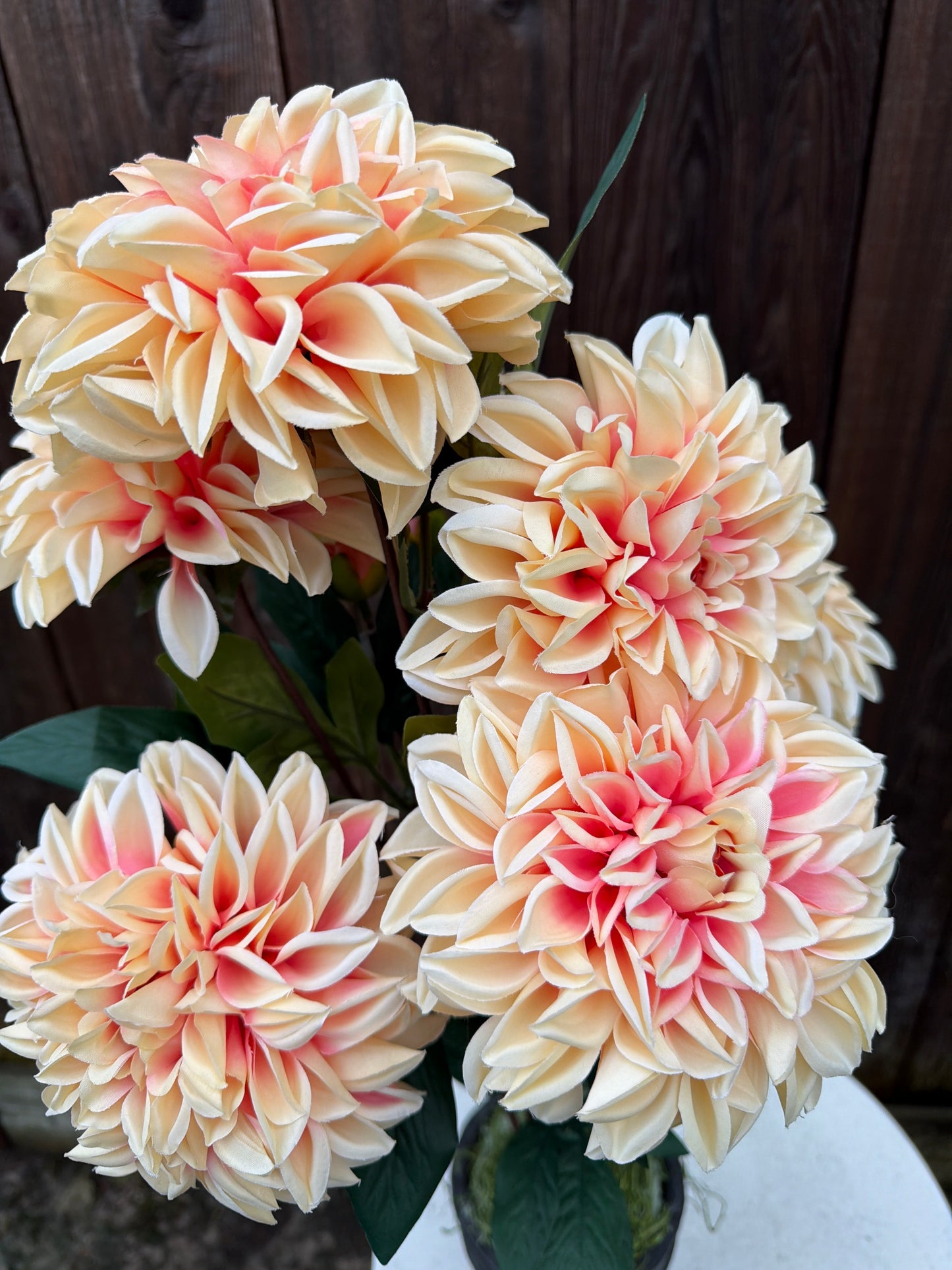 DAHLIA BUSH 82419-PH