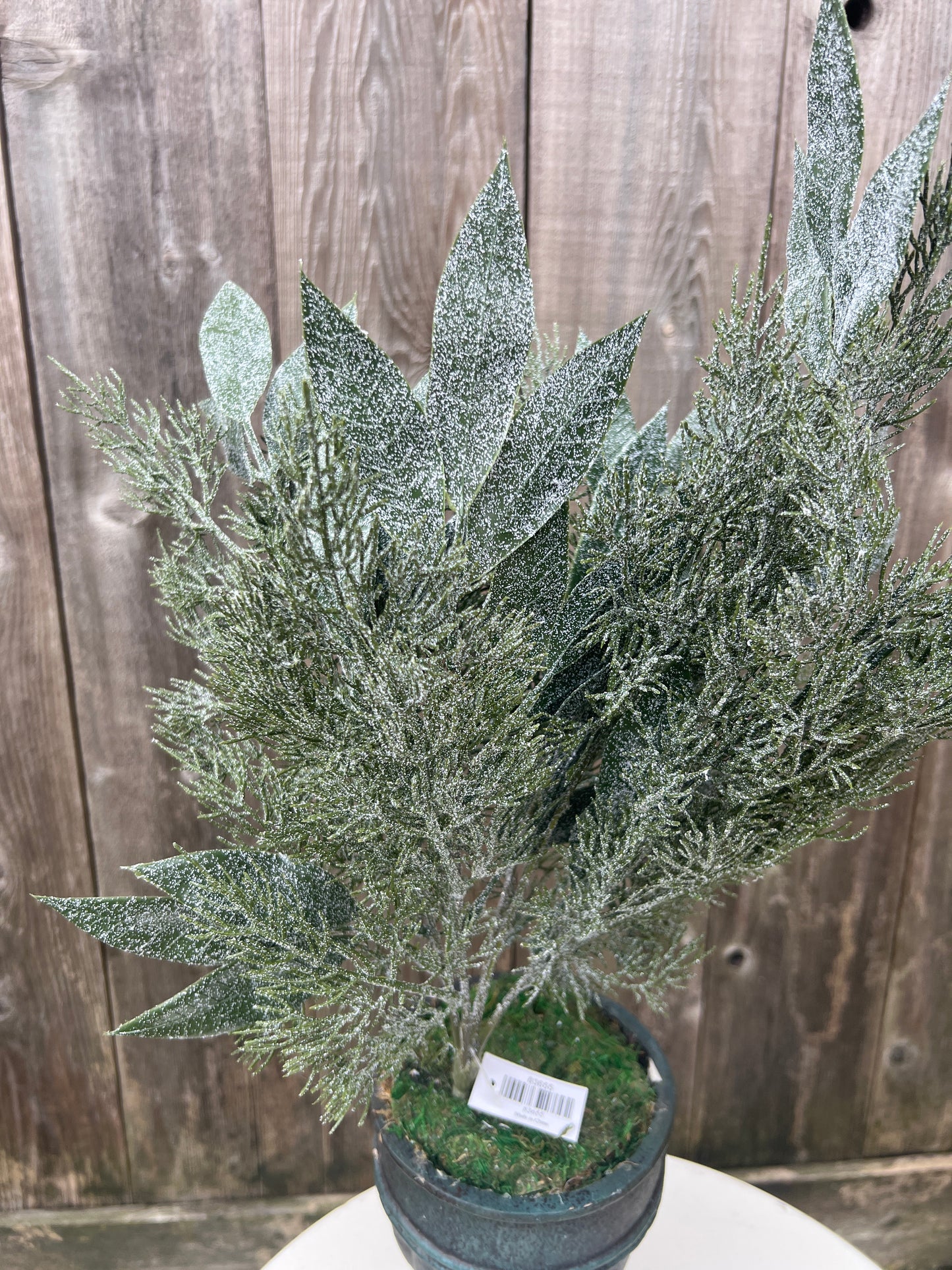 MIXED CYPRESS OLIVE LVS 83655