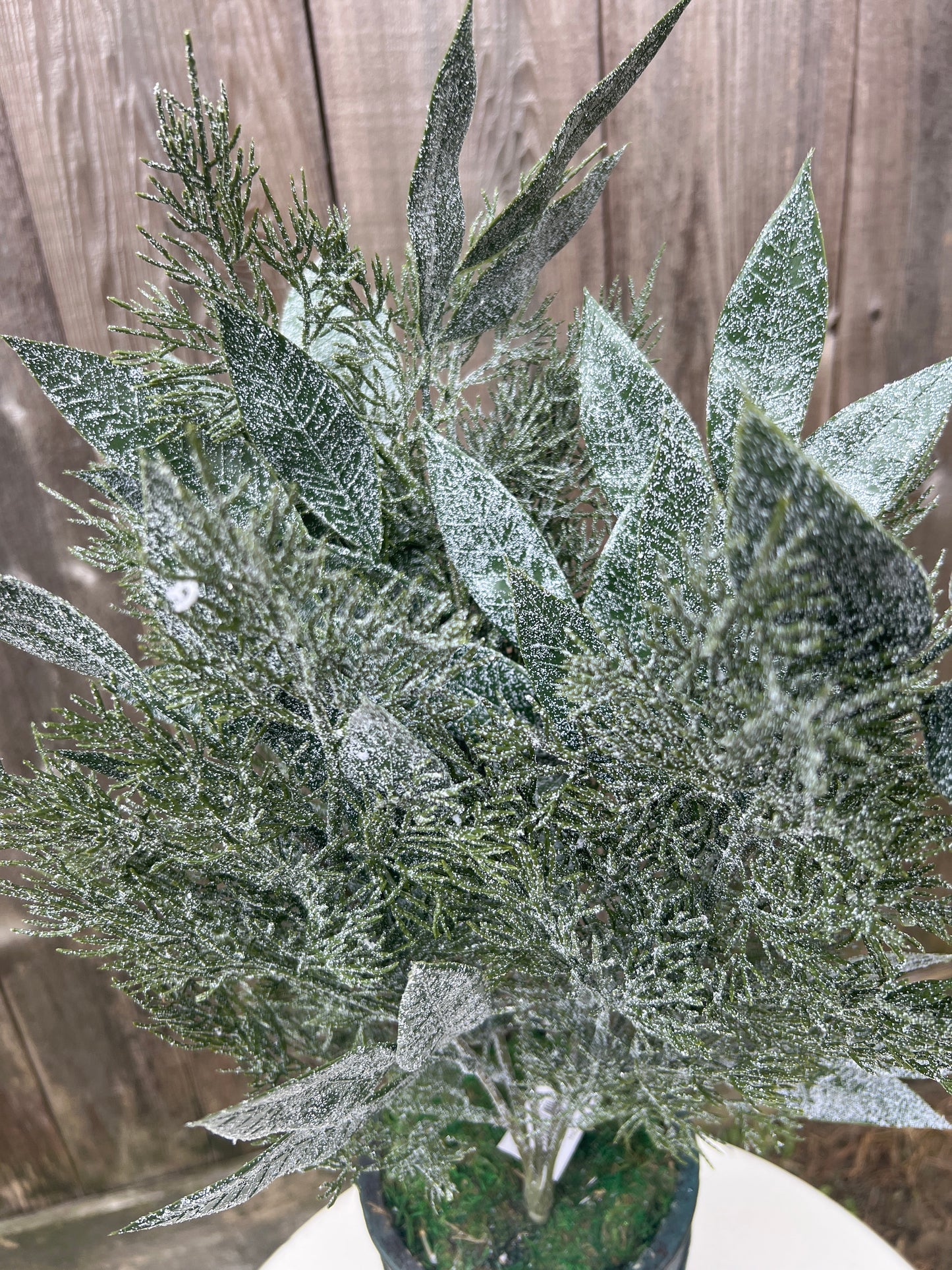 MIXED CYPRESS OLIVE LVS 83655