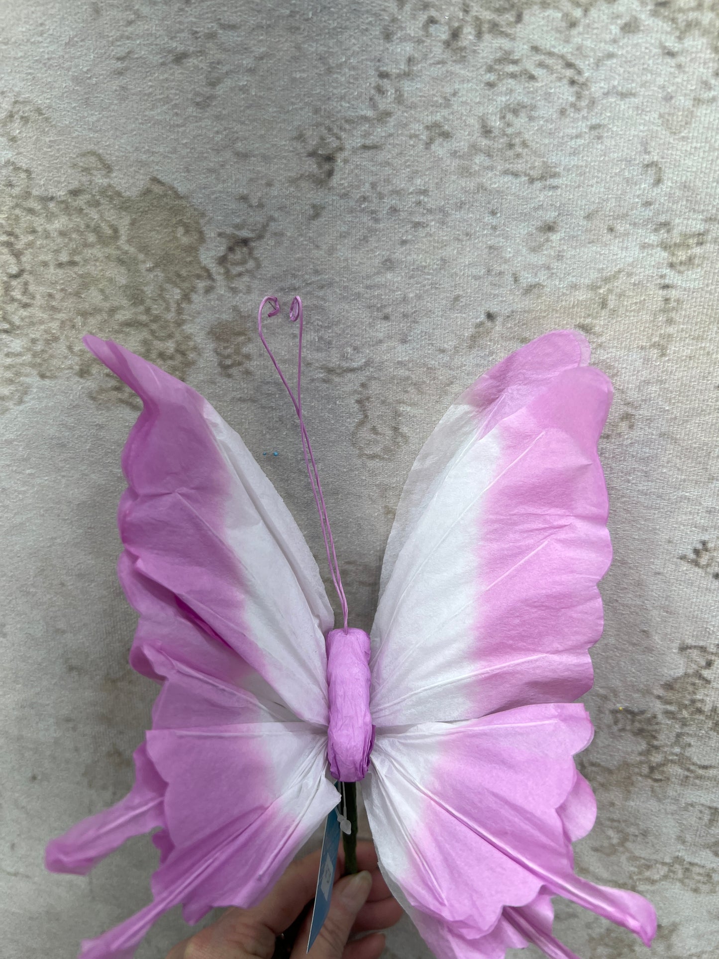 Pick paper butterfly 9749831