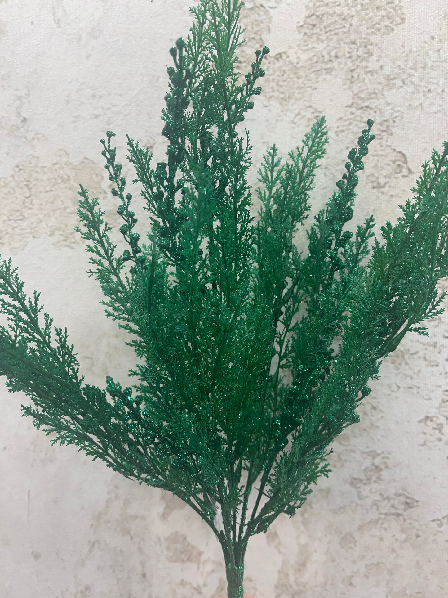 CYPRESS W GLITTER BUSH 84344-GN