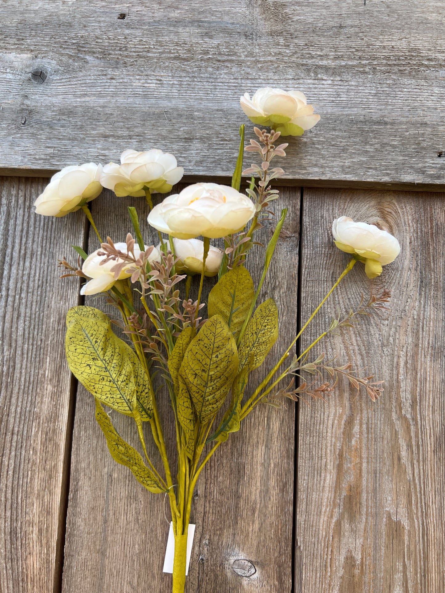 MIXED RANUNCULUS BUSH 40314-CR