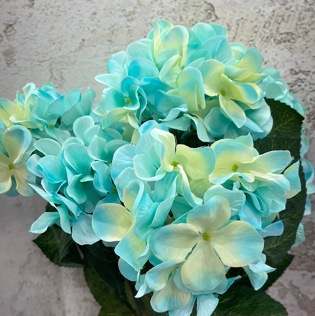 HYDRANGEA BUSH 80312-TQ