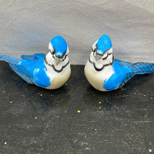 Blue Jay Dozen D201261