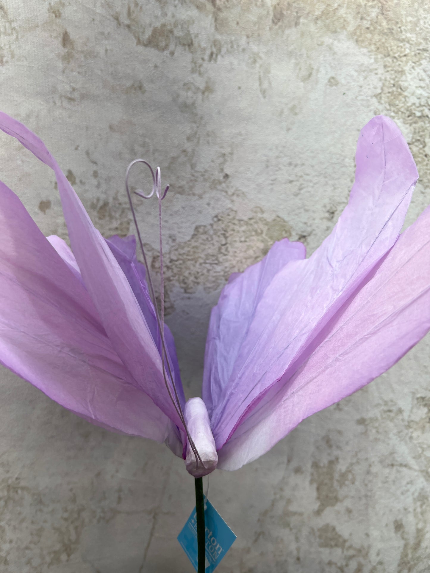 PAPER BUTTERFLY PICKS 9749833