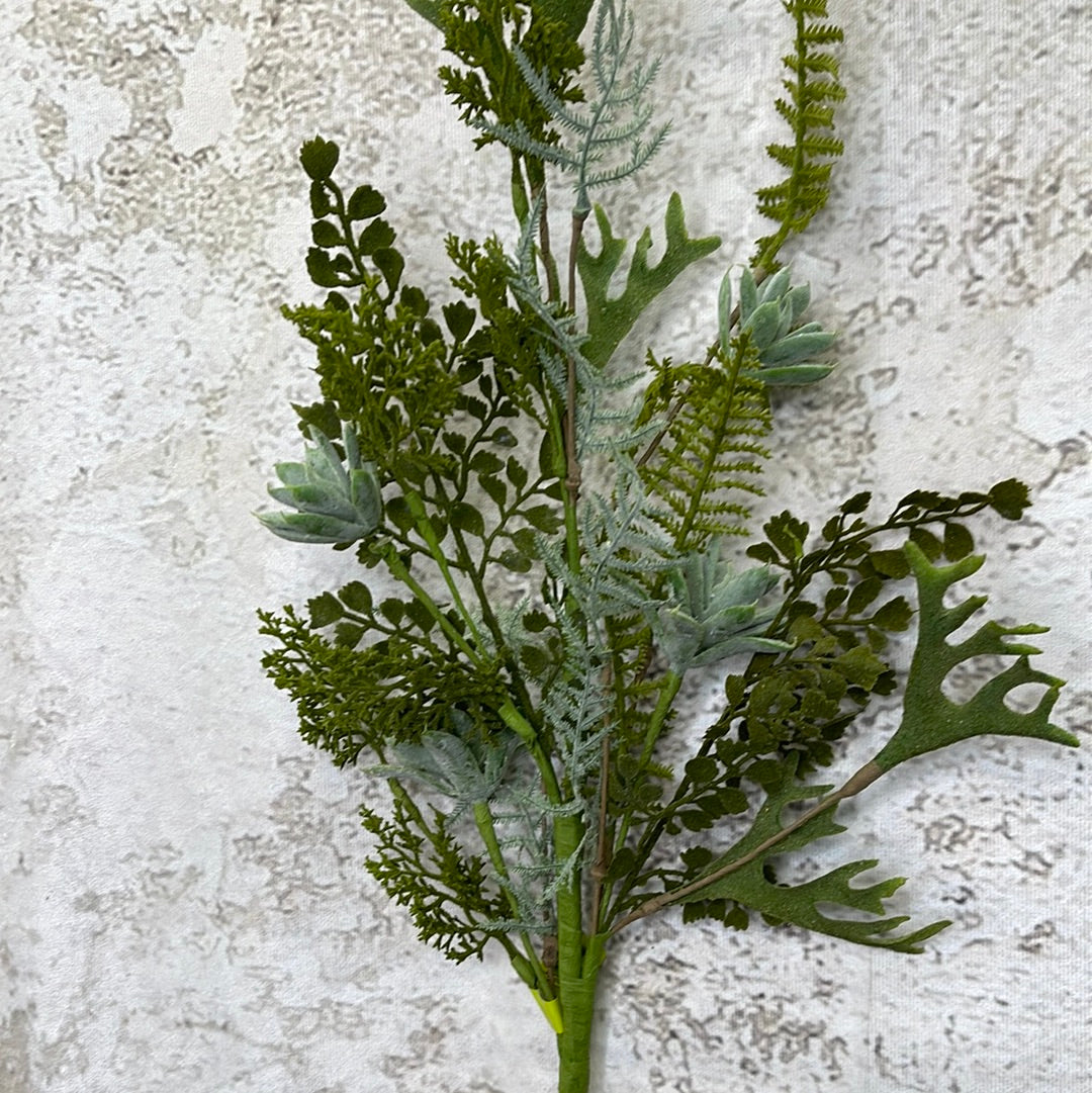 spray for succulent plants Succulent Lvs Spray 62270Sp28