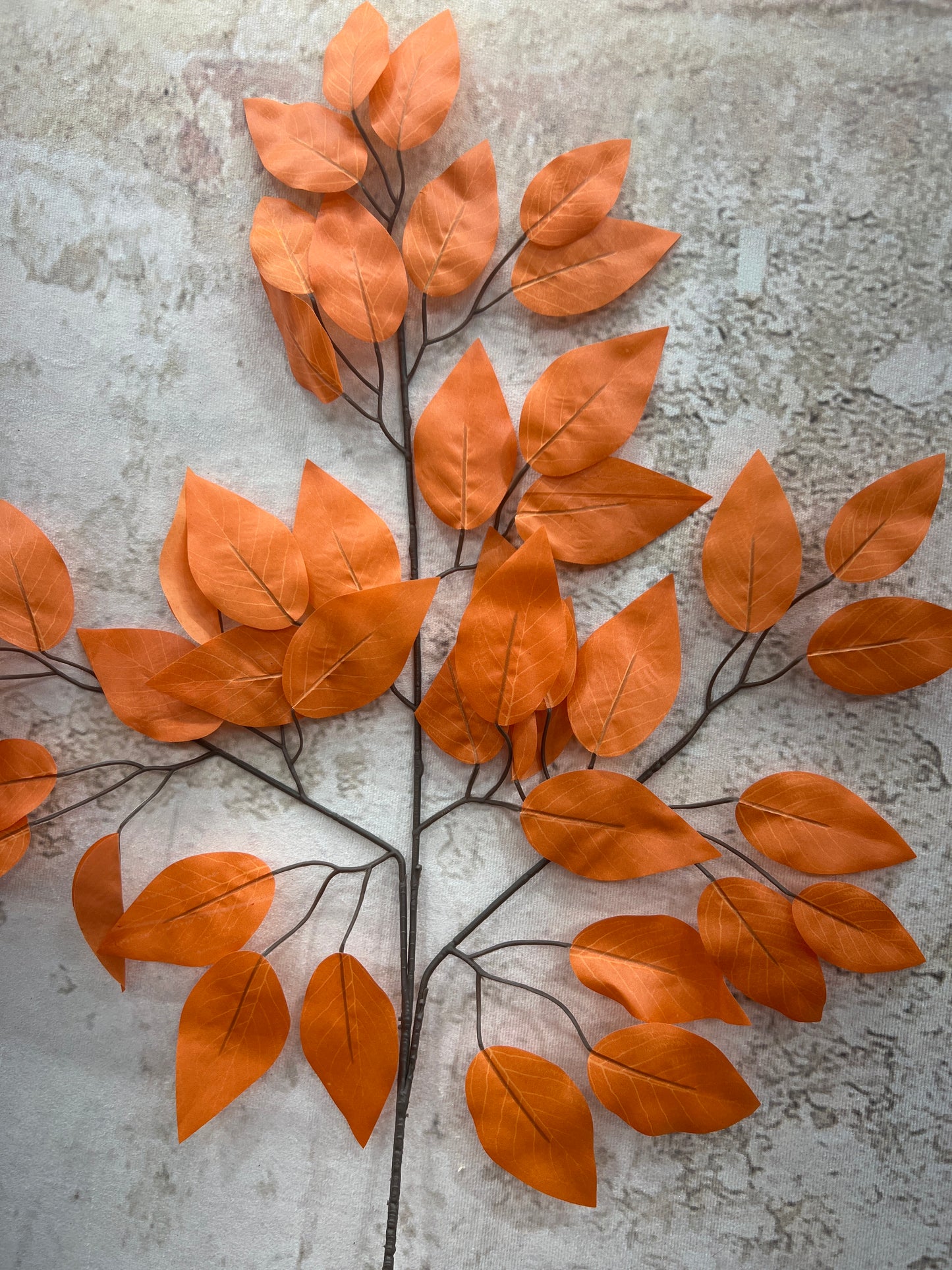 Ficus Spray-BURNT ORANGE (SET OF 6) FG633735