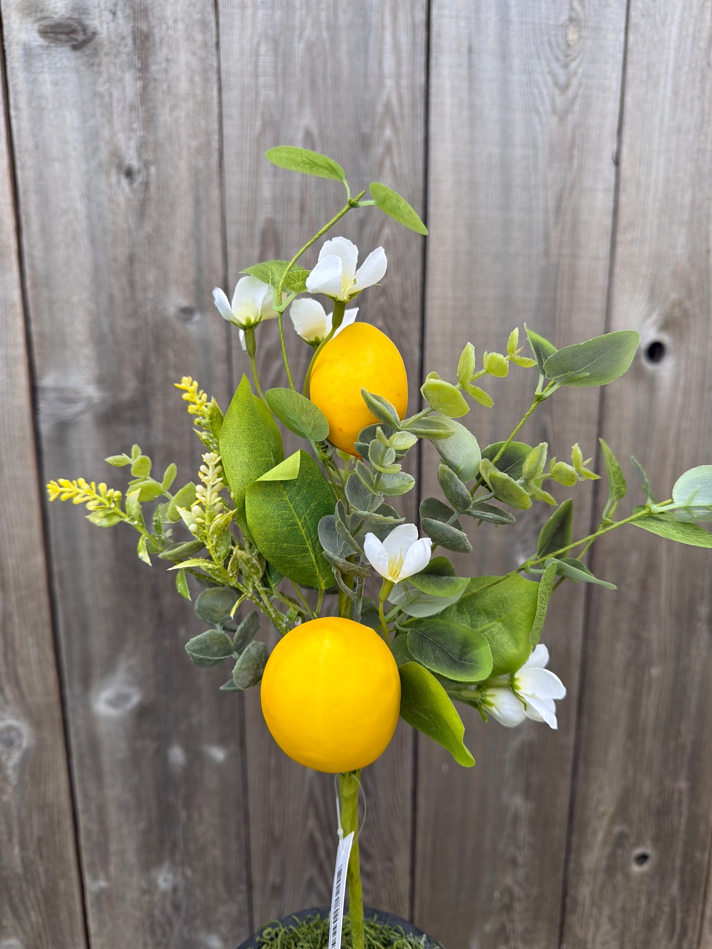 LEMON PICK 65491