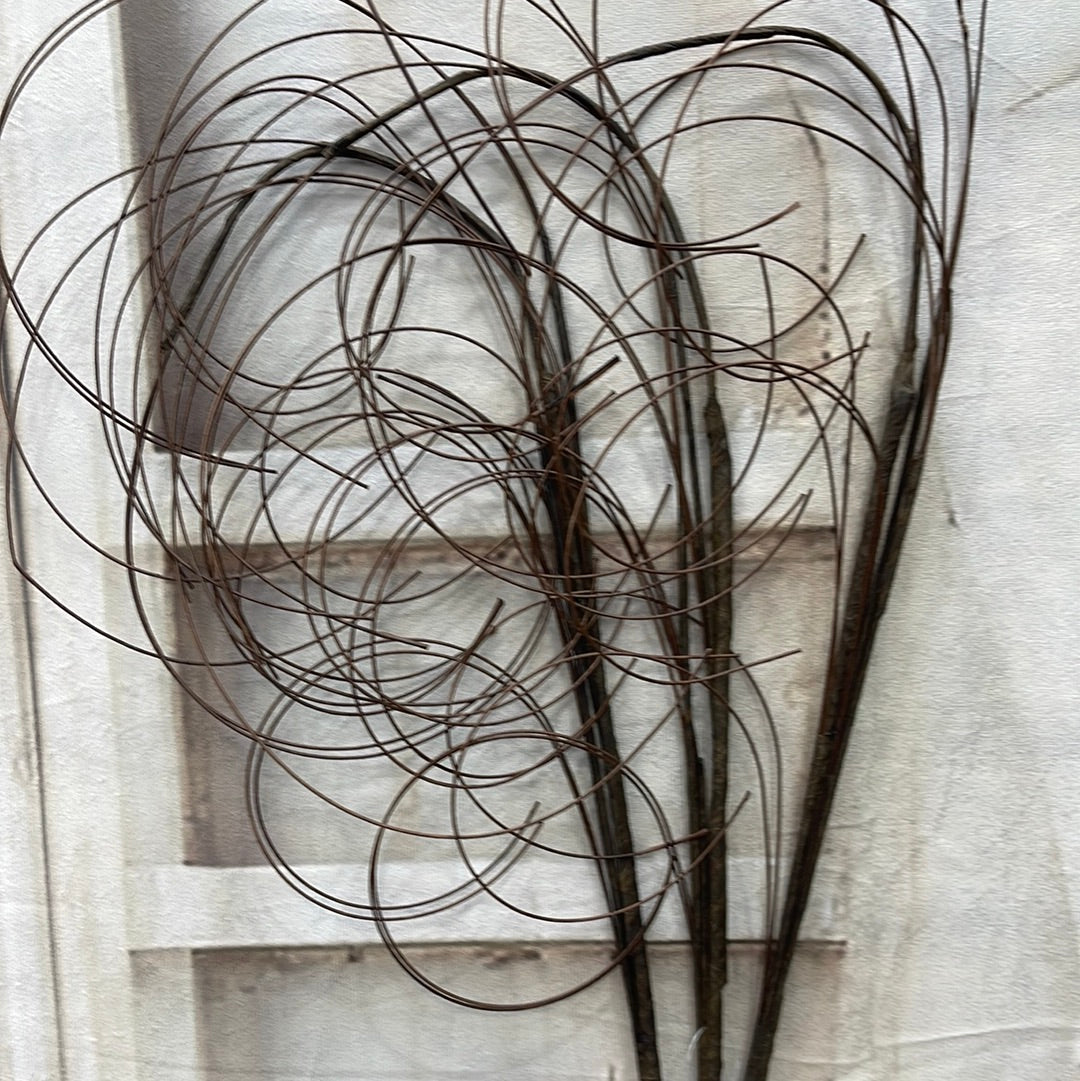 Twig 53952-BRN