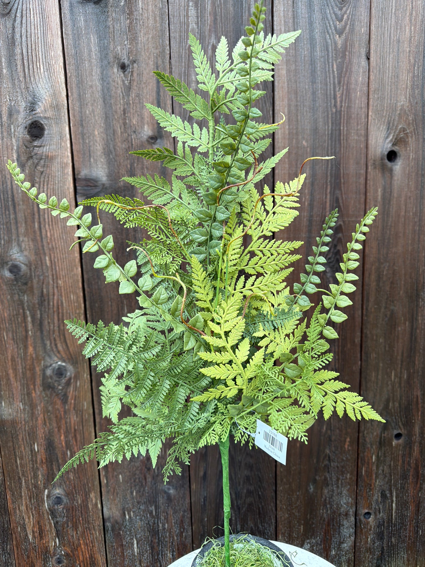 MIXED FERN SPRAY 23168