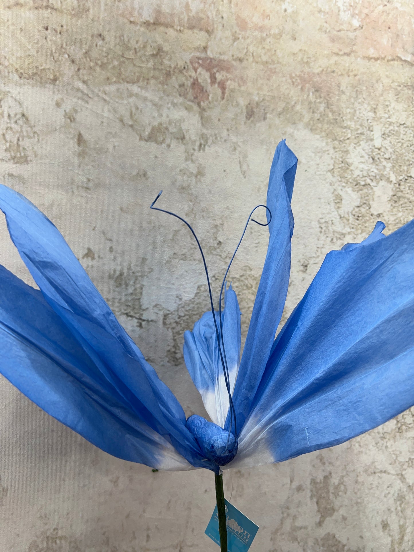 PAPER BUTTERFLY PICKS 9749833