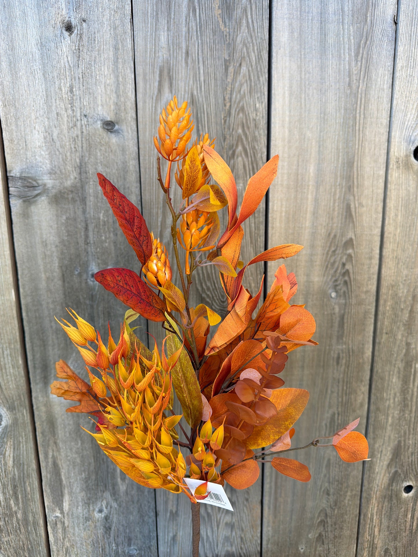Spray Fall Mix Hops Garden 530775