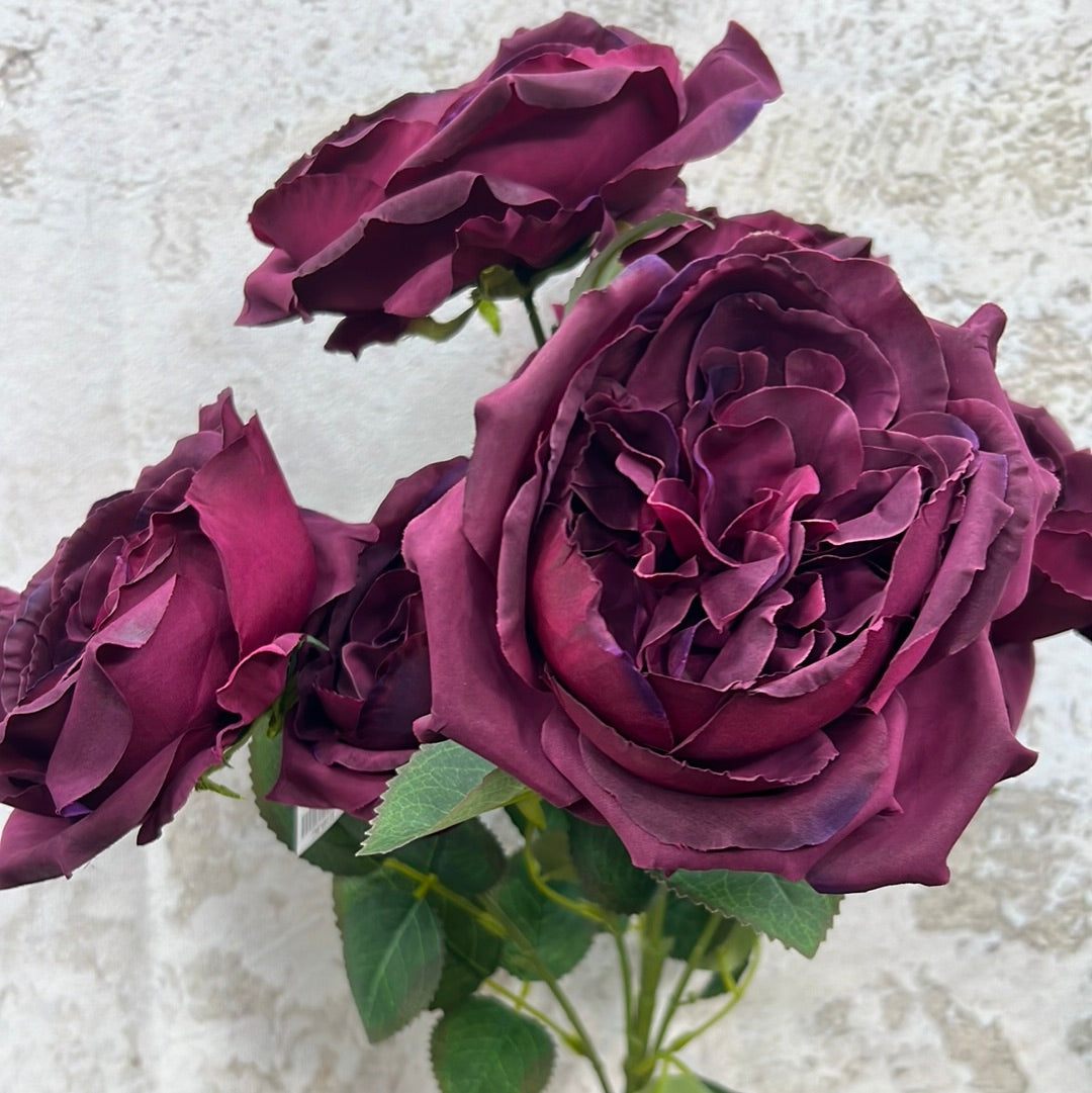 ENGLISH GARDEN ROSE 81105-BG