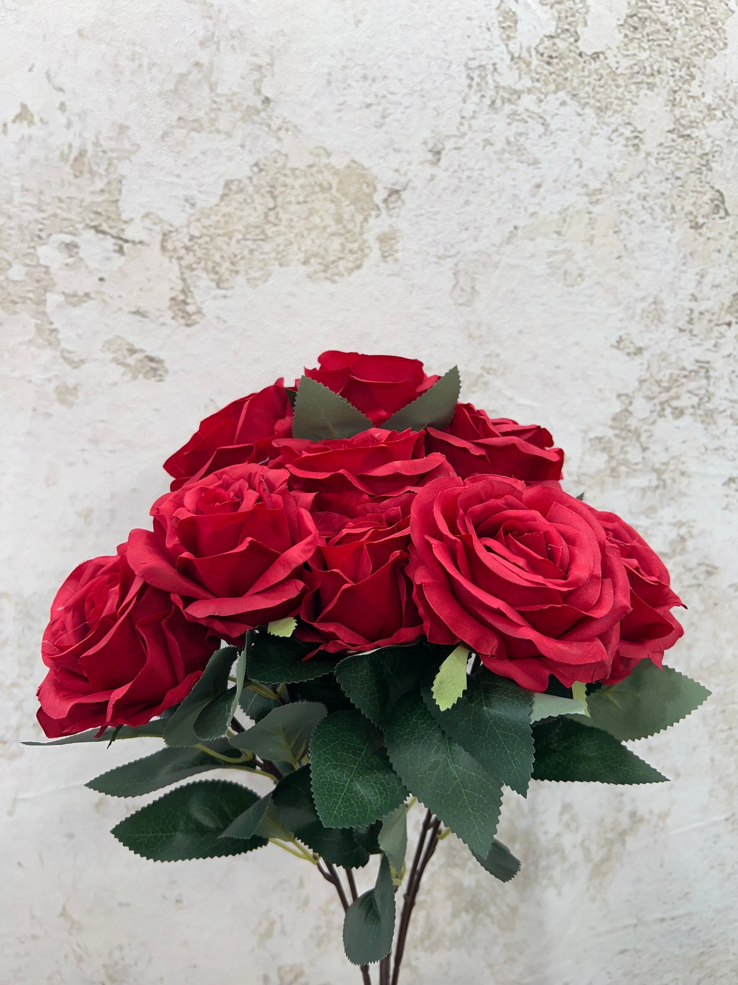 ROSE BUSH 84887-RD