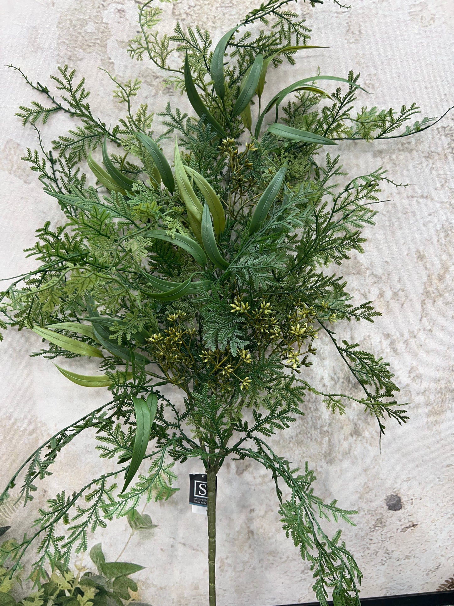 DRAPING FERN SPRAY FESP
