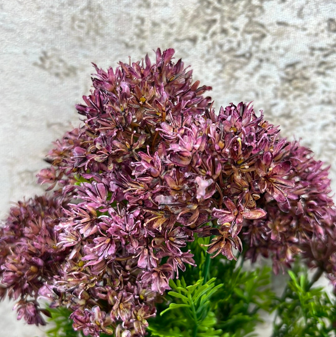 ALLIUM BUSH 82401-PU
