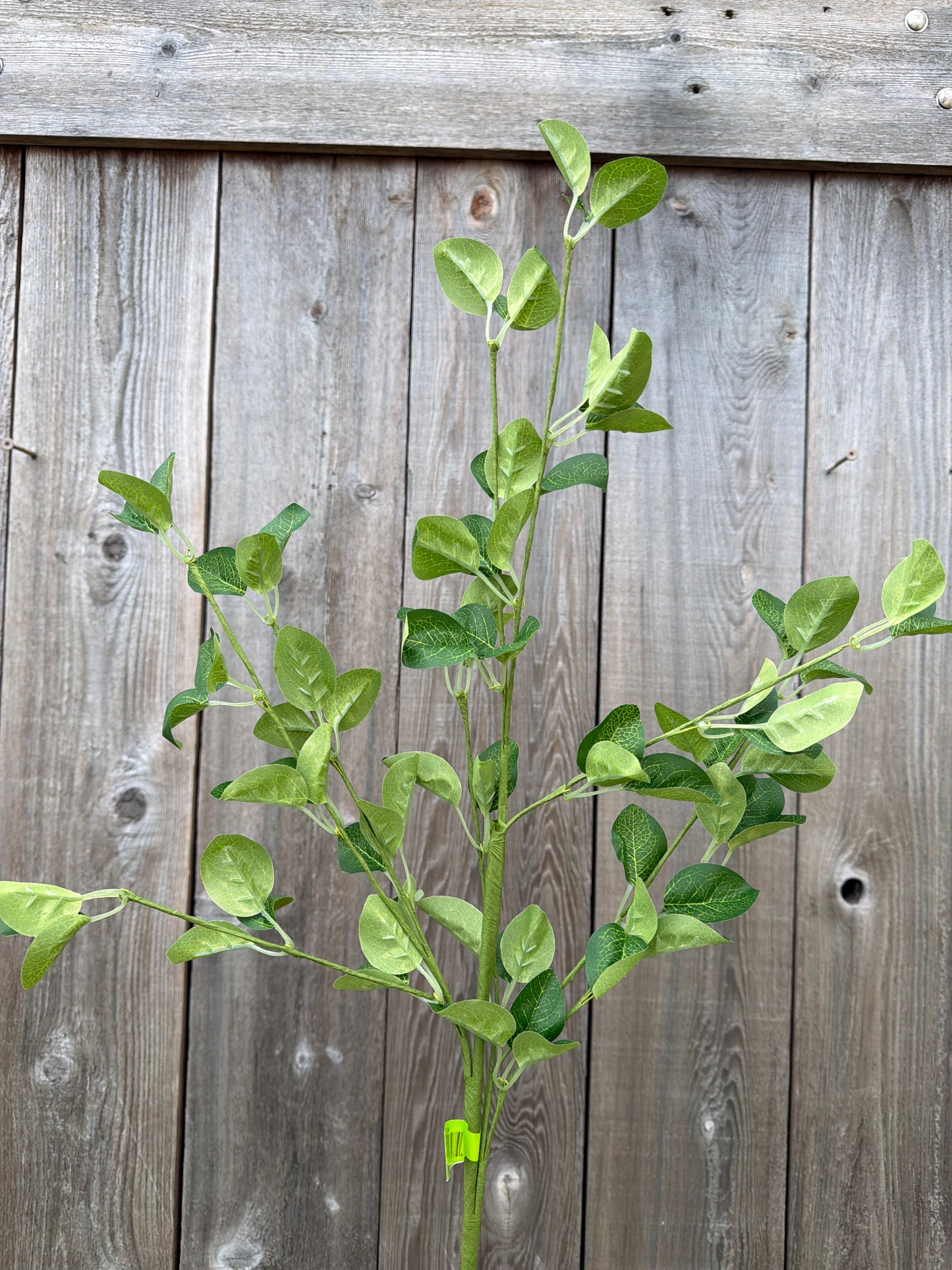 Lvs Spray 13667GN