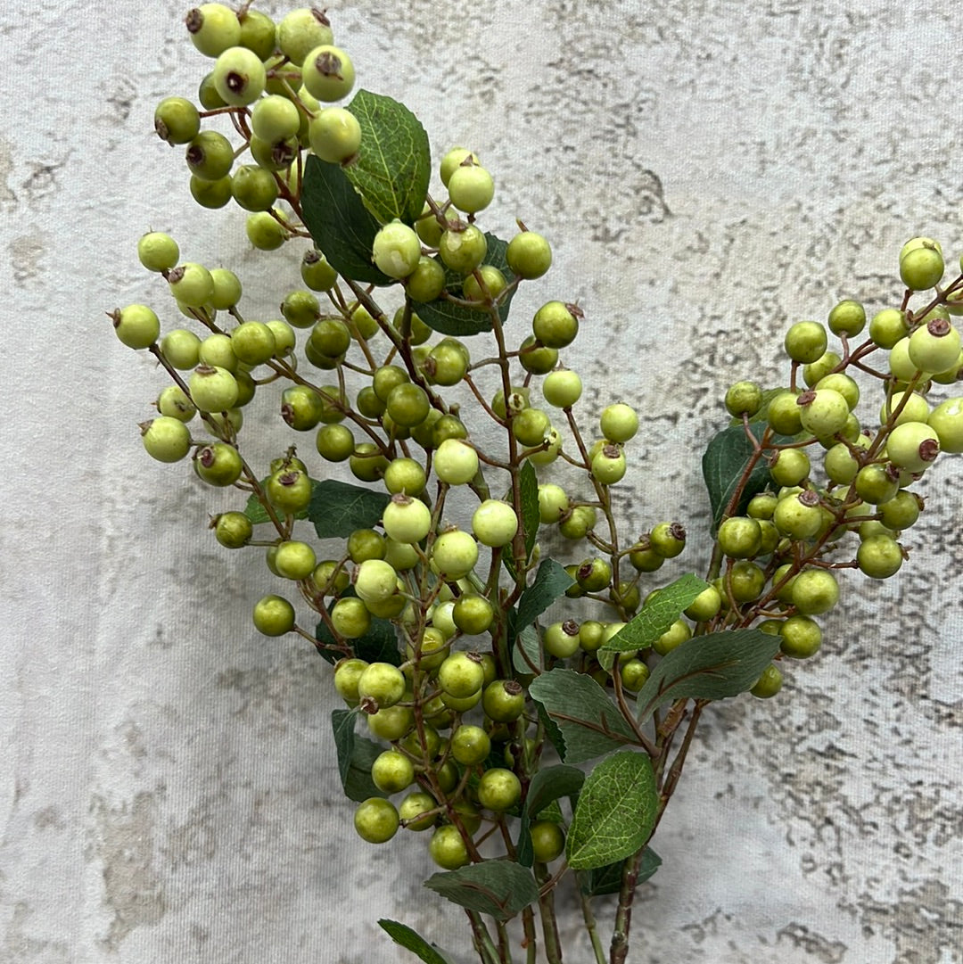 BERRY SPRAY 82592-GN