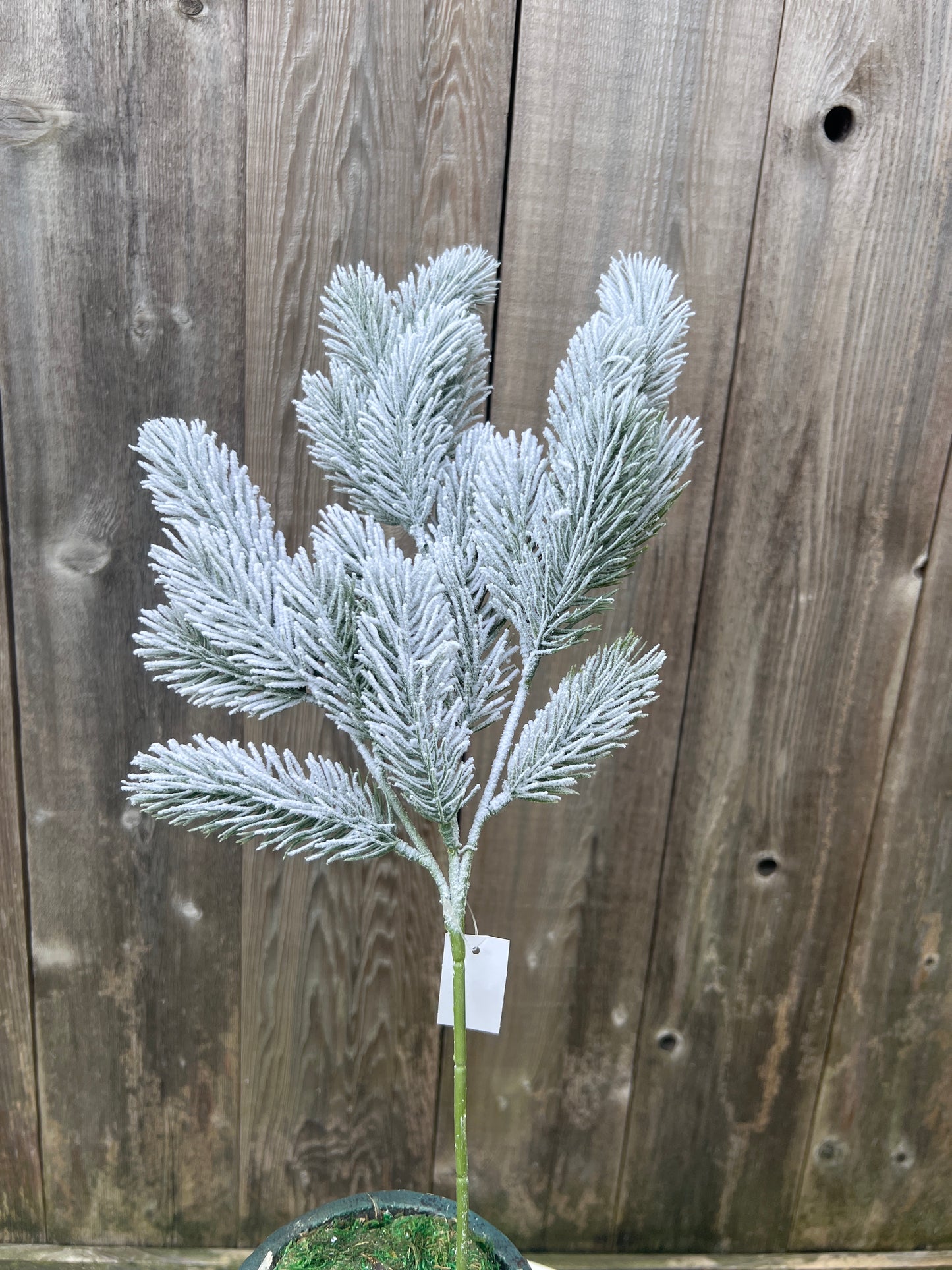 PINE SPRAY X 3 W SNOW 83658