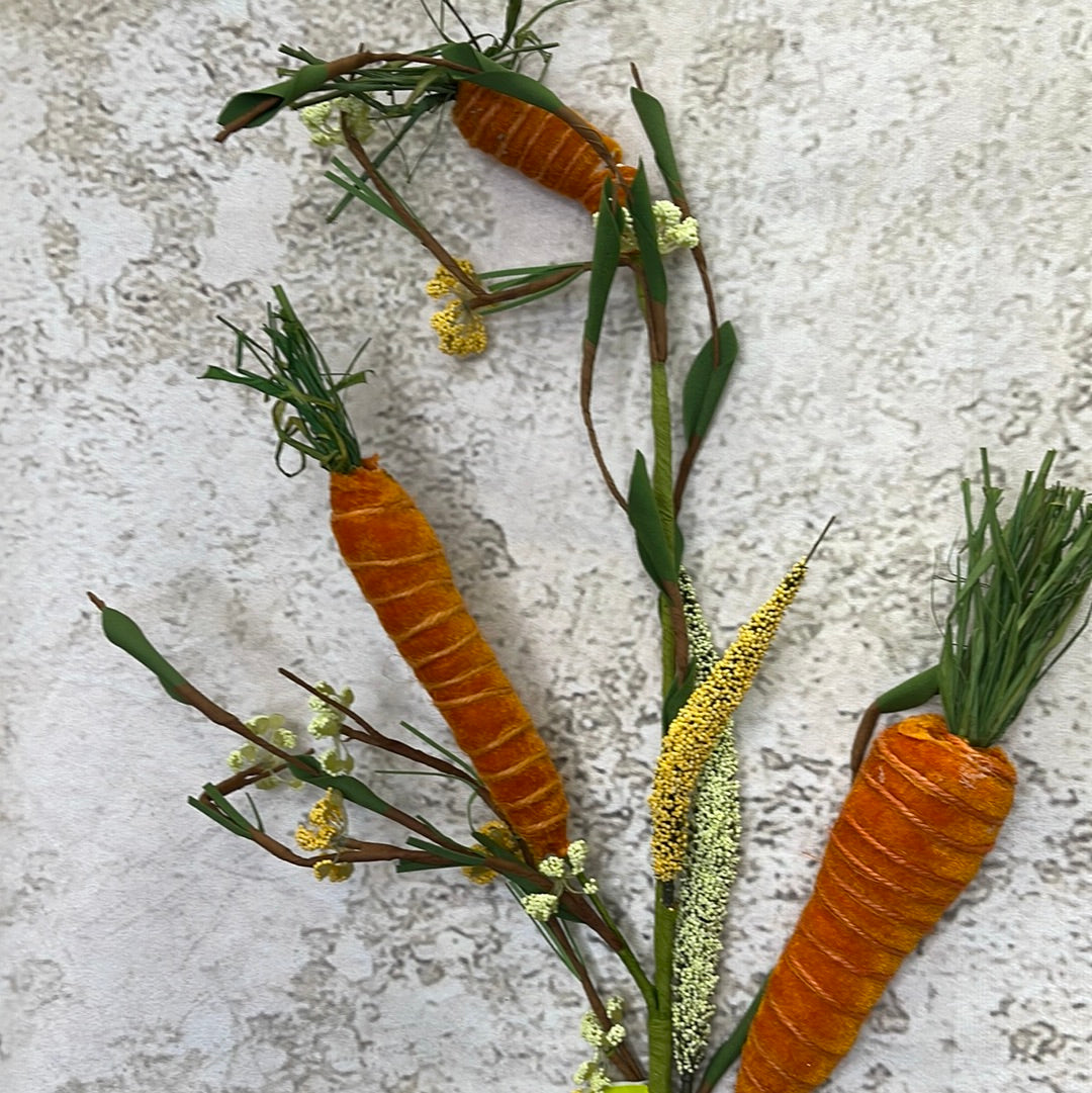 Carrot Lvs Spray 62883OR
