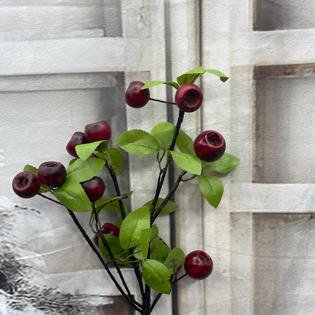 IN BERRY SPRAY 63342-RD