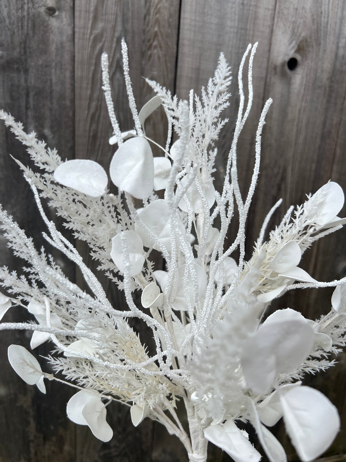 SNOW EUCALYPTUS
