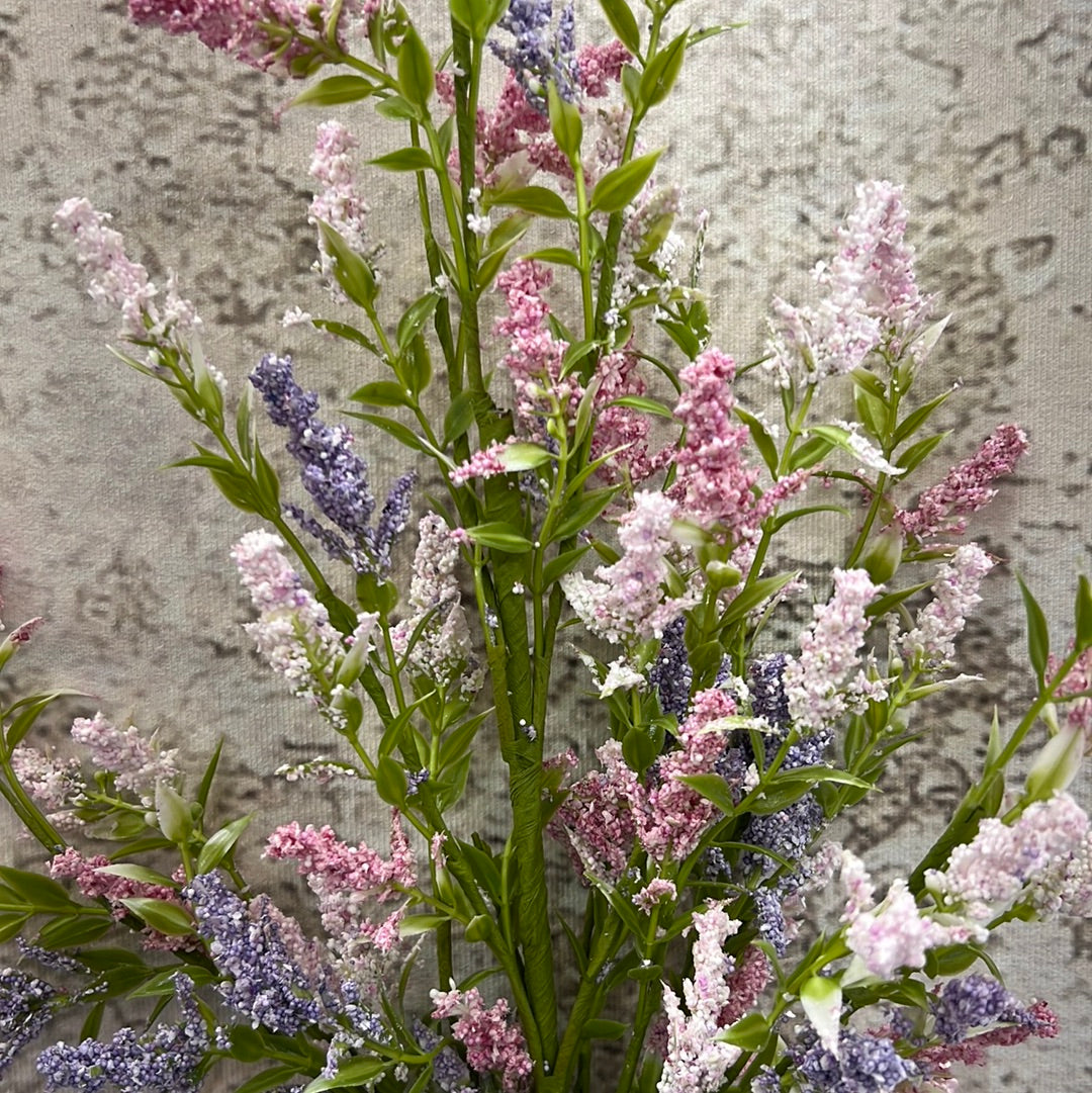LAVENDER BUSH 63875
