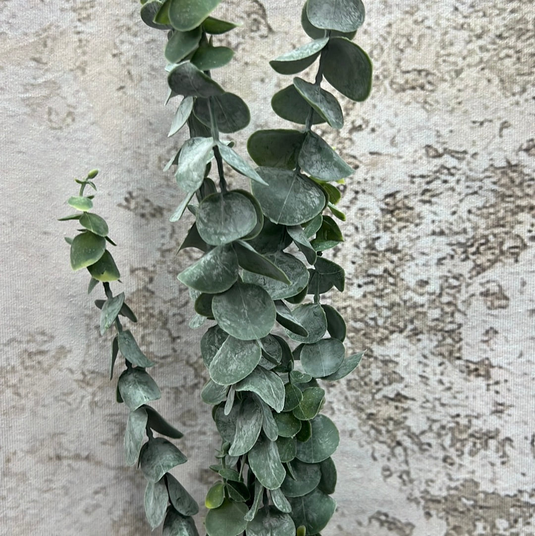 EUCALYPTUS SPRAY 82540