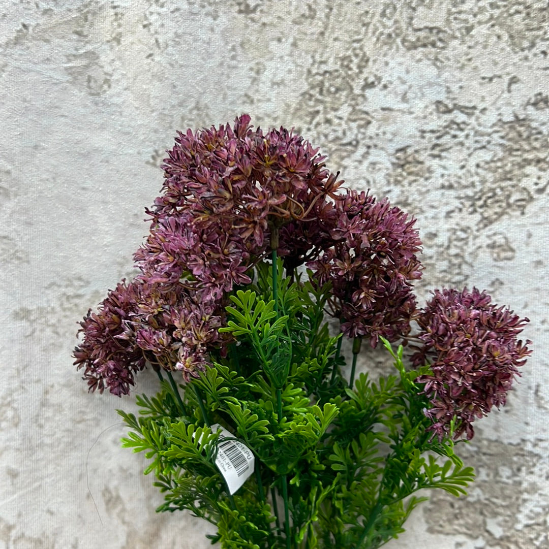 ALLIUM BUSH 82401-PU