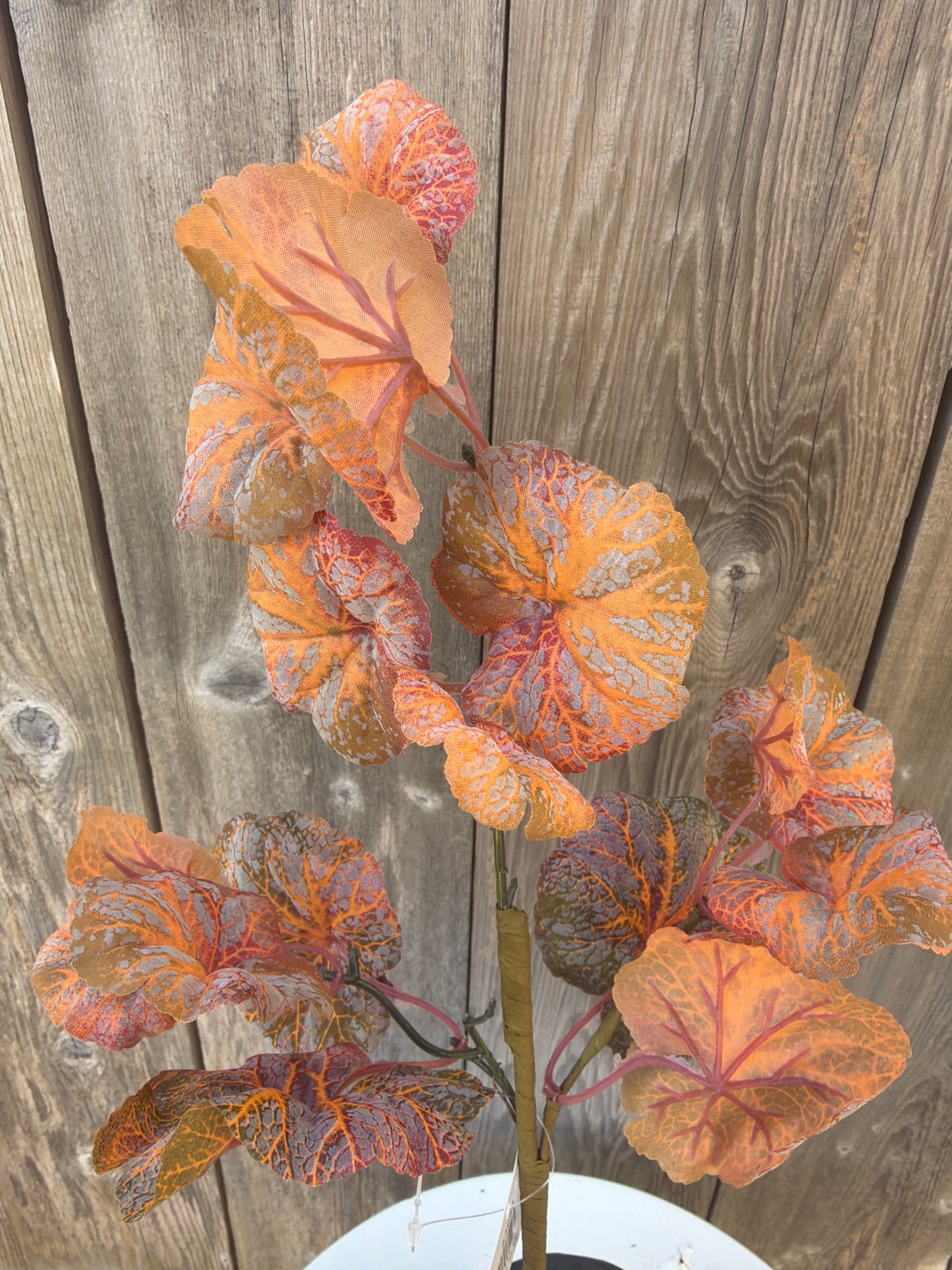 Spray Flocked Orange Geranium Leaves 530686