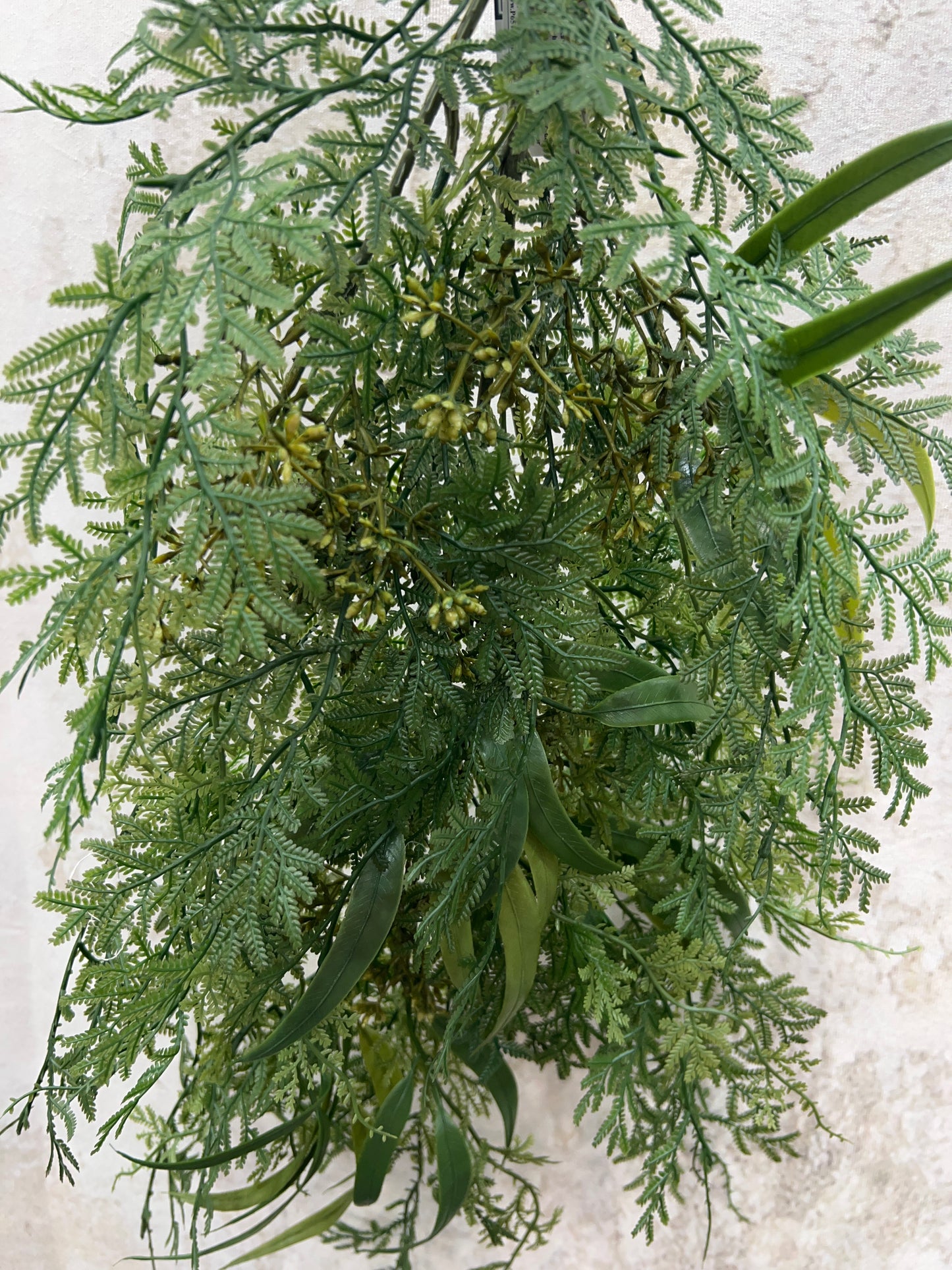 DRAPING FERN SPRAY FESP