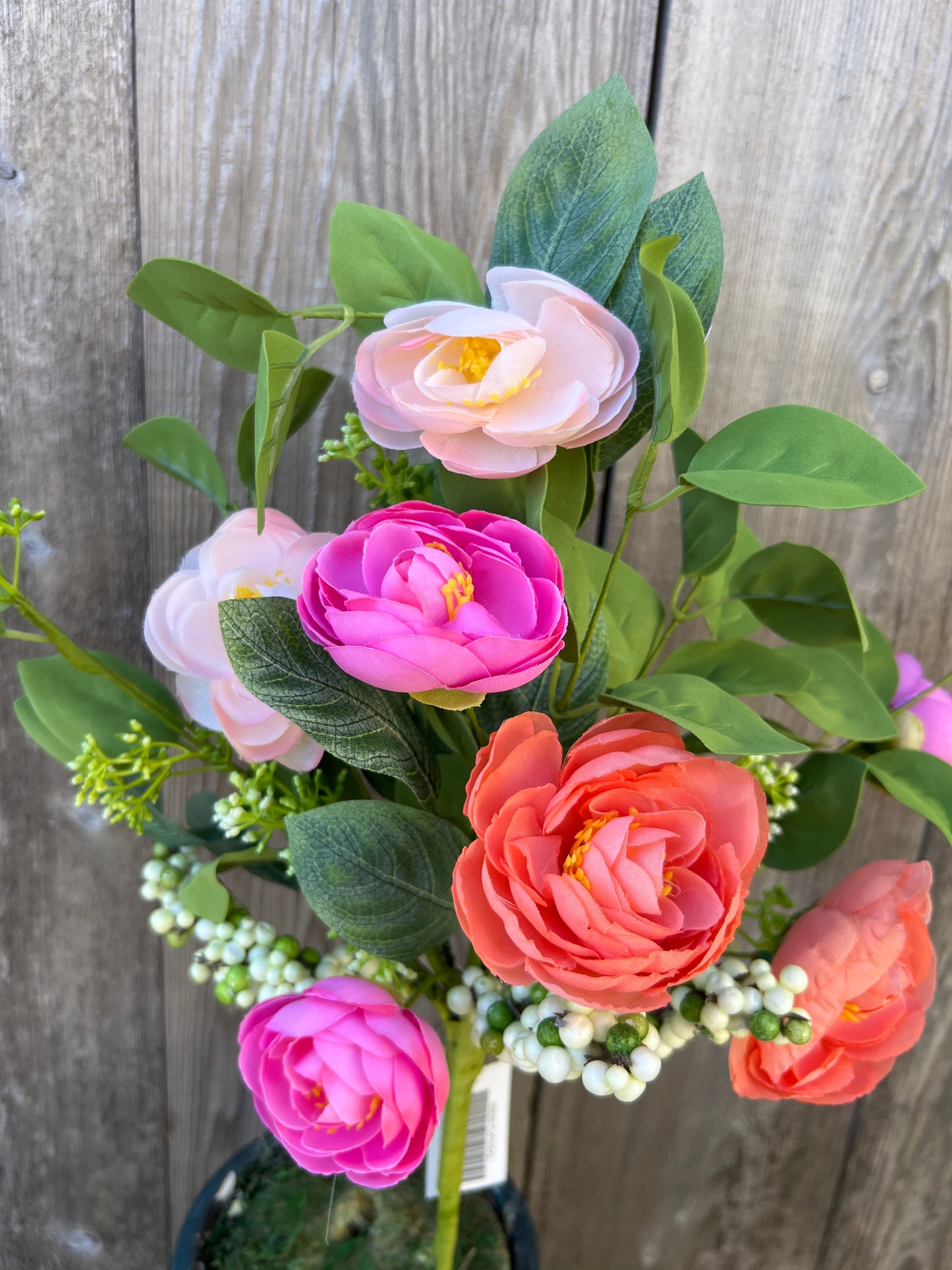 MIXED RANUNCULUS 65629-FUPHSAL