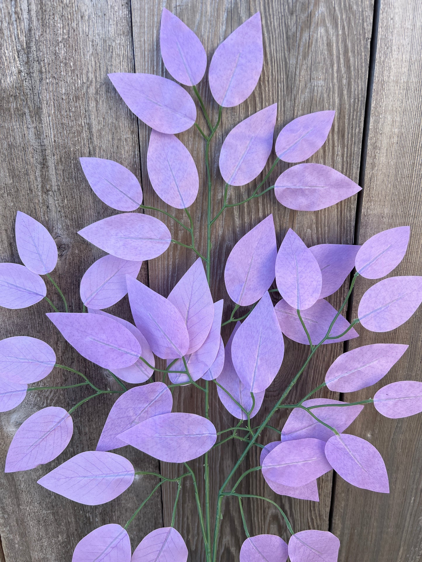 FICUS SPRAY LAVENDER (BUNDLE6) 85352-LV