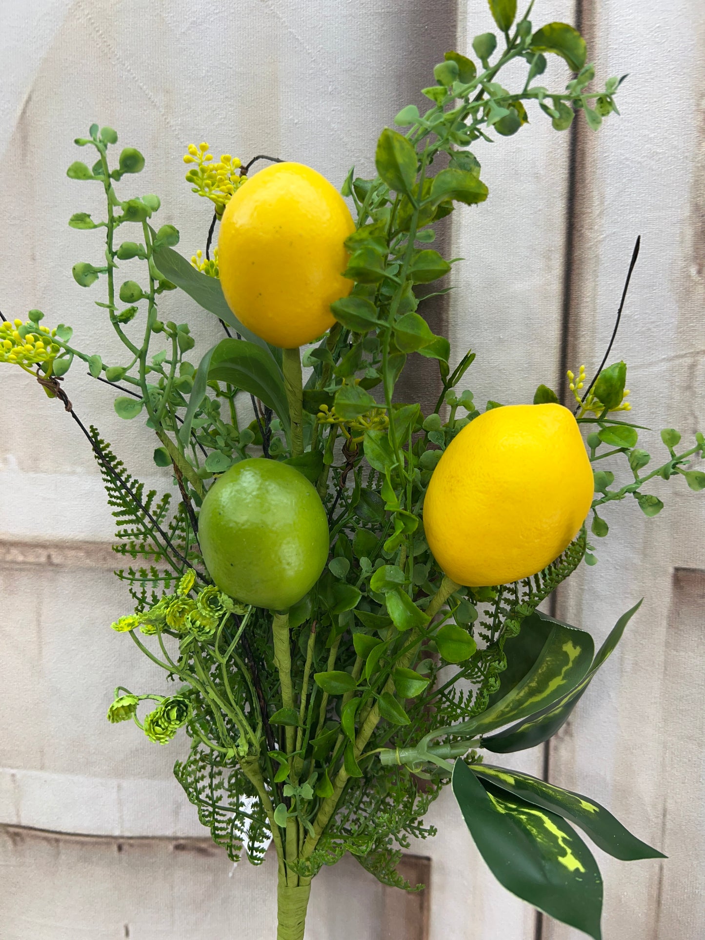LEMON BUSH 64778