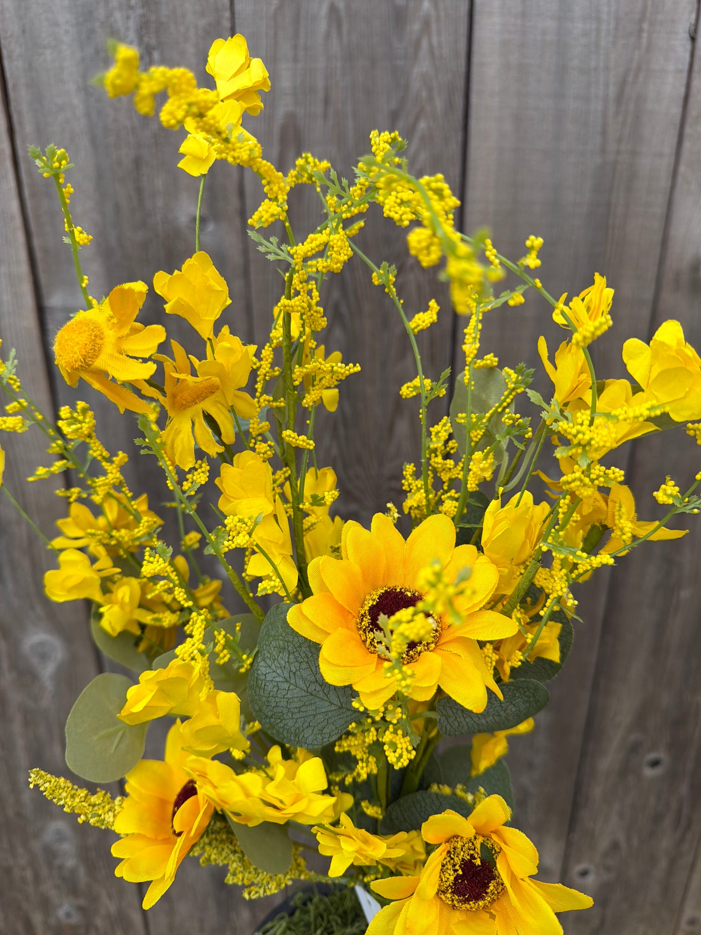 DAISY HEATHER BUSH 65627
