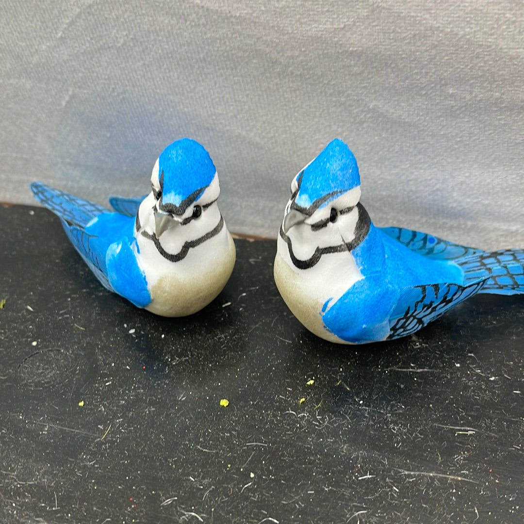 Blue Jay Dozen D201261