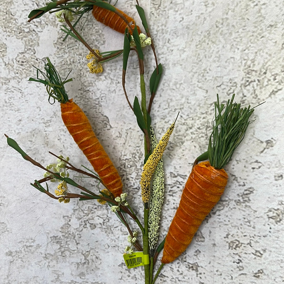 Carrot Lvs Spray 62883OR