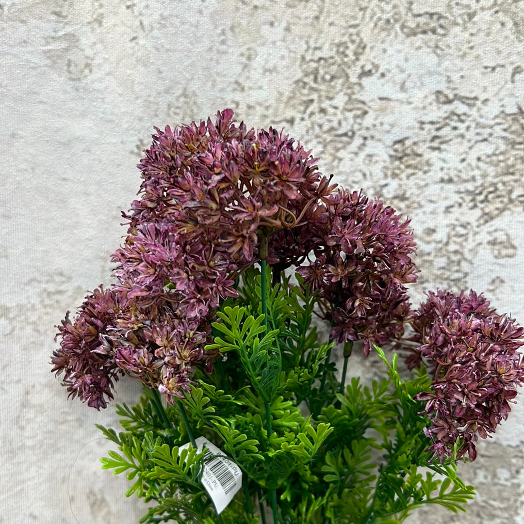 ALLIUM BUSH 82401-PU
