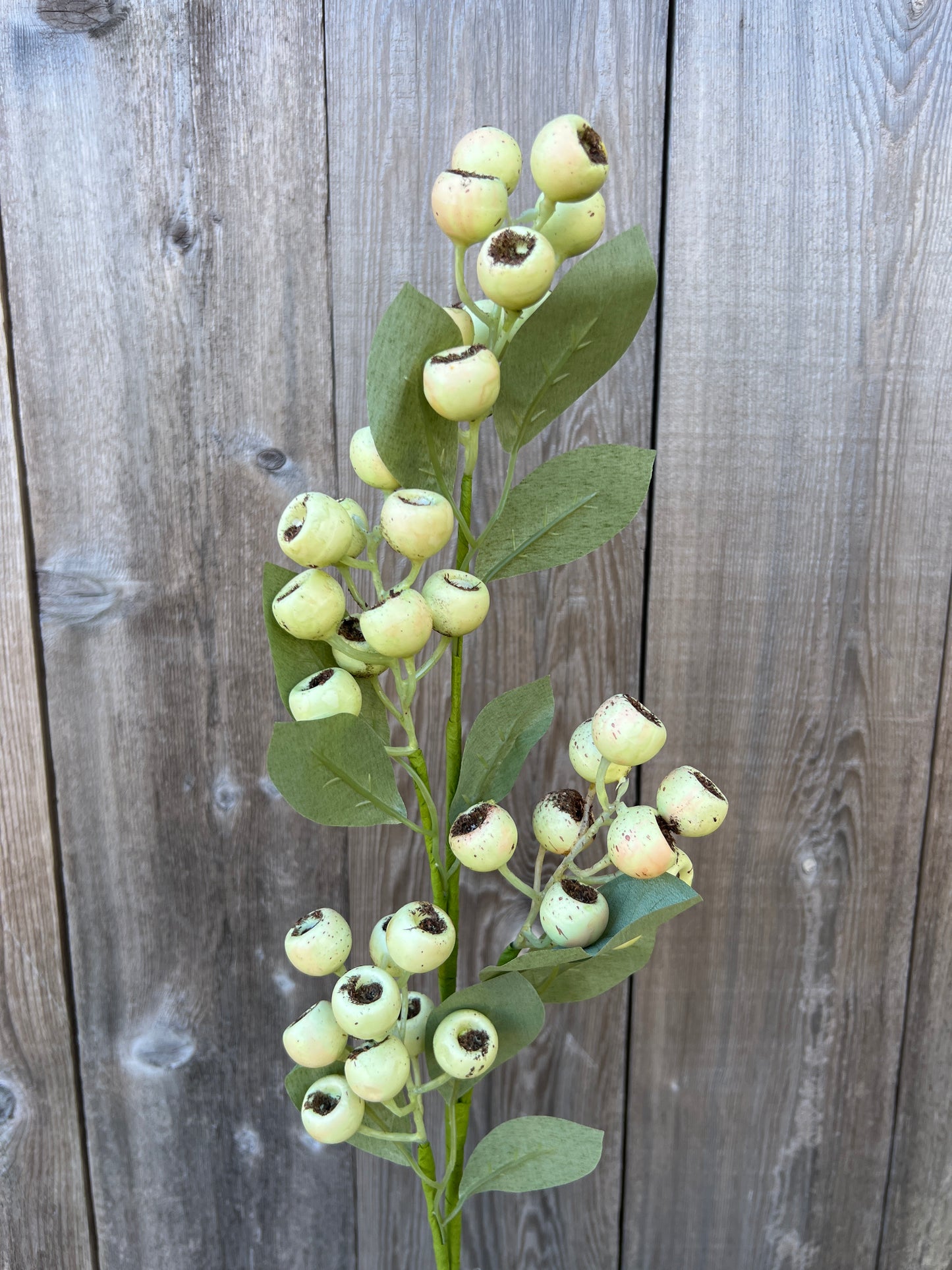 BERRY SPRAY 65444-GN