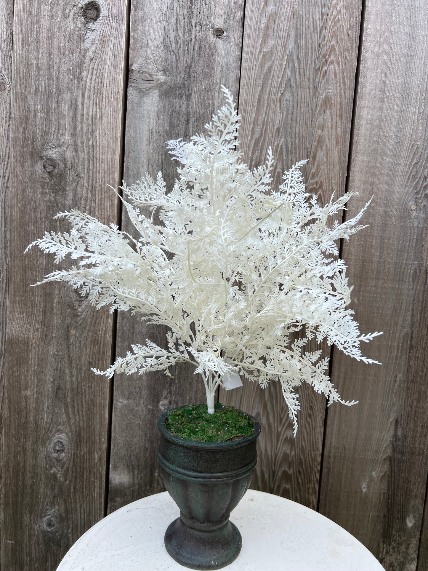 FERN BUSH X 5 W GLITTER 85268-WT