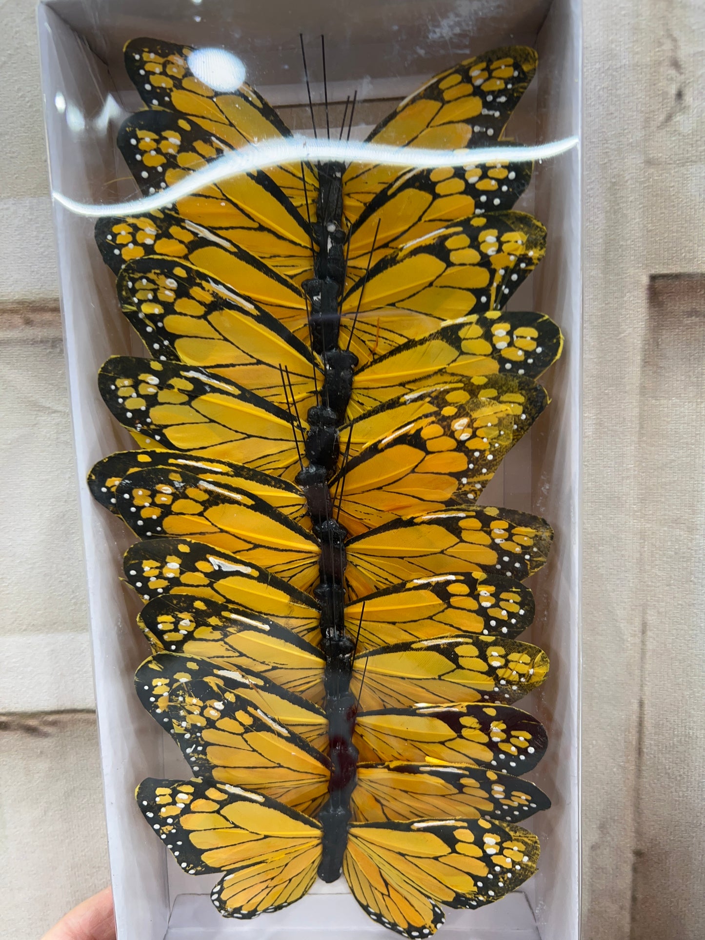 Monarch Ast PRBF5126