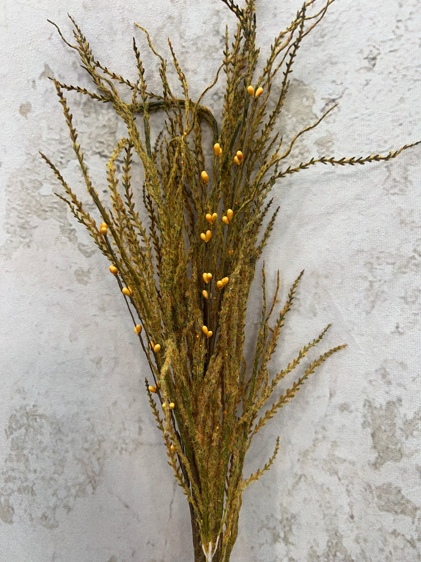 PAMPAS BLOOM GRASS SPRAY MTH12775
