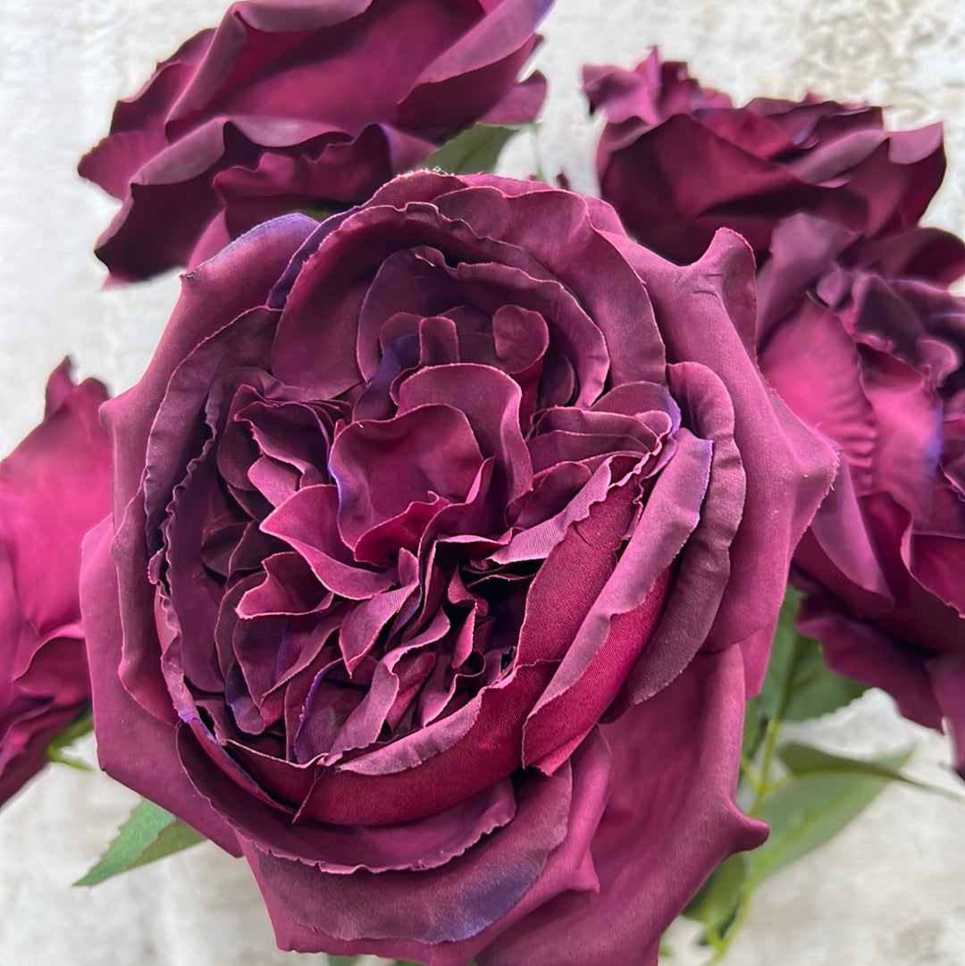ENGLISH GARDEN ROSE 81105-BG