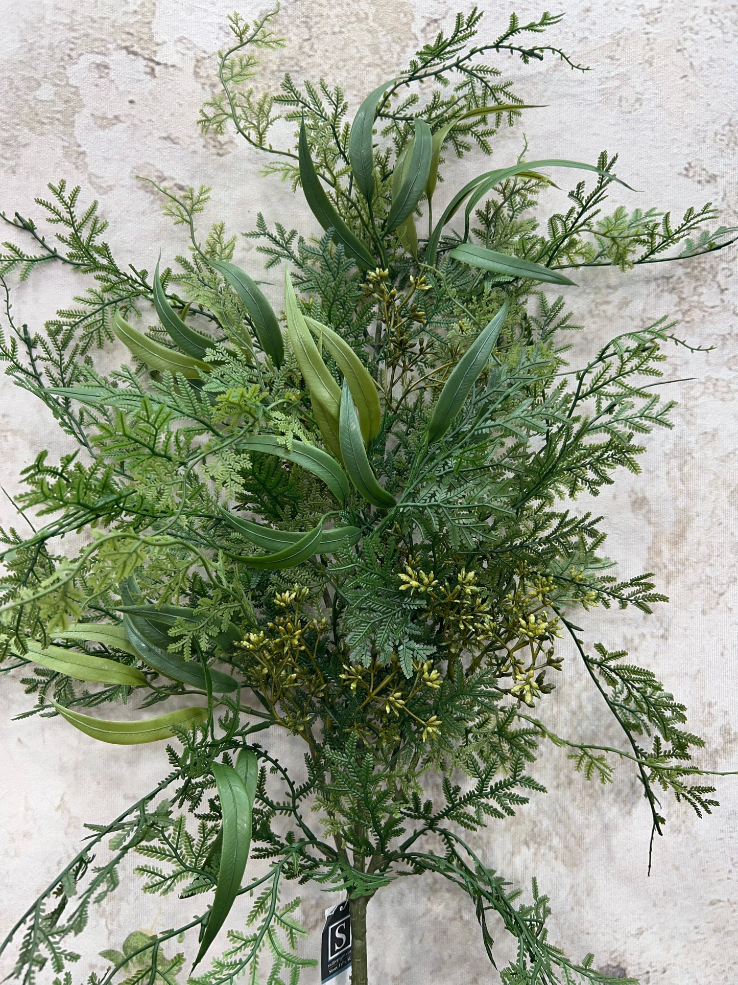 DRAPING FERN SPRAY FESP